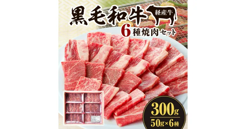 【ふるさと納税】黒毛和牛 経産牛 6種 焼肉 セット 300g 詰め合わせ 食べ比べ 味比べ 牛肉 肉 お肉 精肉 和牛 国産牛 国産 宮崎県産 焼肉セット BBQ アウトドア キャンプ グルメ お取り寄せ お取り寄せグルメ ご褒美 贈り物 贈答 自分用 宮崎県 宮崎市 送料無料