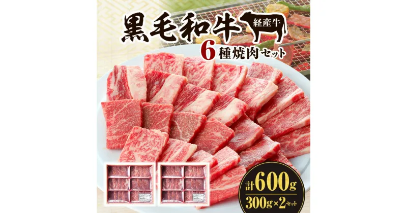 【ふるさと納税】黒毛和牛 経産牛 6種 焼肉 セット 300g×2 計600g 詰め合わせ 食べ比べ 味比べ 牛肉 肉 お肉 精肉 和牛 国産牛 国産 宮崎県産 焼肉セット BBQ アウトドア キャンプ グルメ お取り寄せ お取り寄せグルメ ご褒美 贈り物 贈答 自分用 宮崎県 宮崎市 送料無料