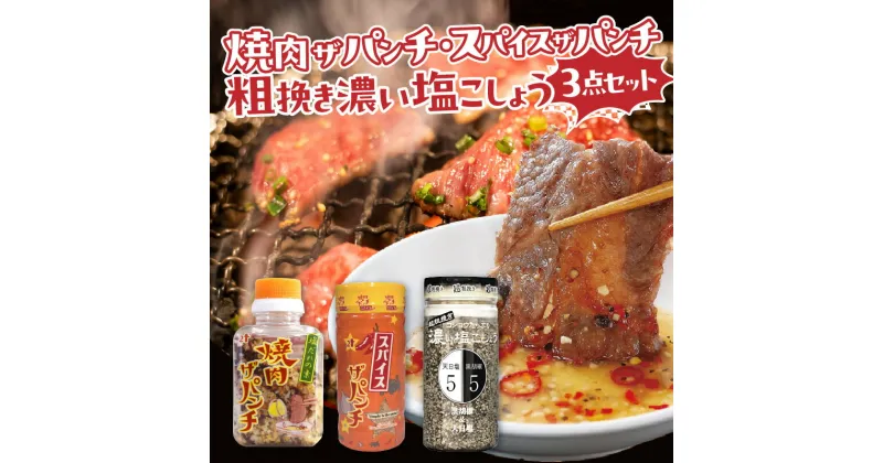 【ふるさと納税】焼肉ザパンチ スパイスザパンチ 粗挽き濃い塩こしょう 3点 セット 調味料 詰め合わせ 料理 調味 スパイス 隠し味 粗びき 塩こしょう たれ アクセント 塩だれの素 ローストガーリック 黒胡椒 スパイシー グルメ お取り寄せ おすすめ 宮崎県 宮崎市 送料無料