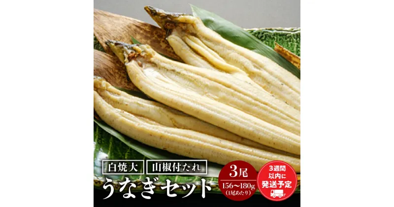 【ふるさと納税】うなぎ白焼3尾 セット うなぎ 白焼き 大サイズ うなぎセット うなぎの白焼き 詰め合わせ 山椒 たれ 蒸し焼き 惣菜 お惣菜 贈答 贈り物 ギフト プレゼント ご褒美 手土産 お祝い 内祝い 土用丑の日 丑の日 冷凍 グルメ お取り寄せ 宮崎県 宮崎市 送料無料