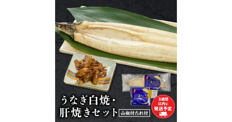 【ふるさと納税】うなぎ白焼 肝焼き セット うなぎ 白焼き 詰め合わせ 山椒たれ 惣菜 お惣菜 蒸し焼き 惣菜 お惣菜 おかず 贈答 贈り物 ギフト プレゼント お祝い 内祝い ご褒美 手土産 土用 丑の日 土用丑の日 冷凍 グルメ お取り寄せ おすすめ 宮崎県 宮崎市 送料無料