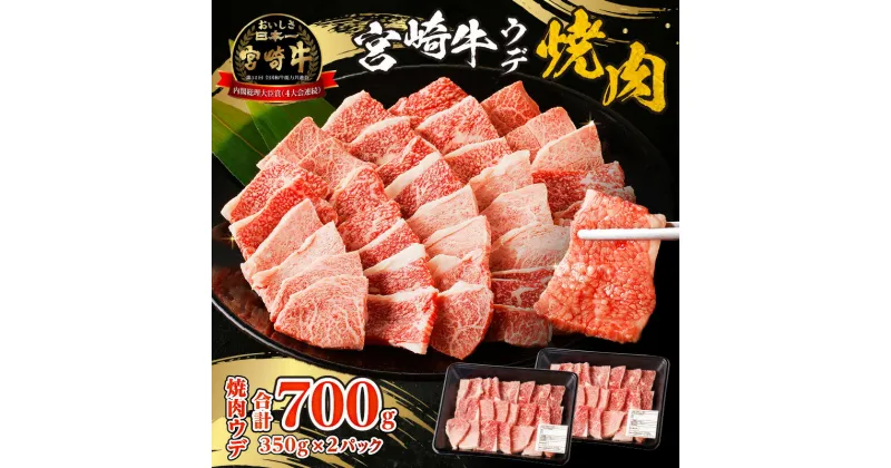 【ふるさと納税】宮崎牛赤身 ウデ 焼肉 宮崎牛 赤身肉 赤身 ウデ肉 牛肉 牛ウデ 牛 精肉 宮崎県産 国産 ブランド牛 黒毛和牛 和牛 焼き肉 BBQ アウトドア キャンプ グランピング 料理 おかず ご褒美 贈り物 ギフト プレゼント 贈答 お祝い 内祝い 宮崎県 宮崎市 送料無料