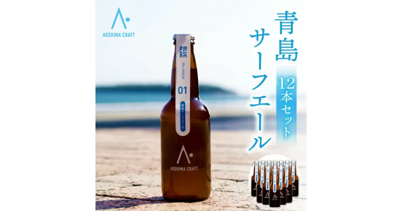 【ふるさと納税】青島サーフエール 12本 セット ビール お酒 発泡酒 酒 アルコール 大麦麦芽 ホップ アルコール4％ サーフィン ゴルフ 海水浴 海 バカンス スポーツ観戦 アウトドア キャンプ グランピング BBQ 夏 祭り 飲み会 宅飲み 宮崎県 宮崎市 送料無料