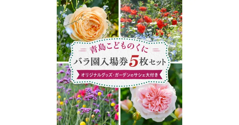 【ふるさと納税】青島 こどものくに バラ園 入場券 5枚 セット オリジナルグッズ・ガーデンのサシェ大付き バラ 花畑 バラの花 花園 入場券 券 入場チケット チケット 観光 旅行 家族旅行 観光旅行 南国旅 自然 花 フラワー 観賞 ご当地 南国観光 観光チケット 送料無料