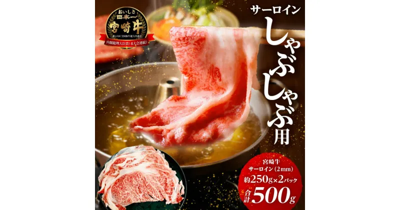 【ふるさと納税】宮崎牛 サーロイン 2mm スライス しゃぶしゃぶ用 合計500g 牛肉 肉 お肉 宮崎県産 国産 ブランド牛 国産牛 和牛 薄切り 冷凍 小分け パック 真空パック 普段使い 使い勝手 しゃぶしゃぶ 炒め物 すき焼き しゃぶしゃぶ BBQ アウトドア 宮崎県 宮崎市 送料無料