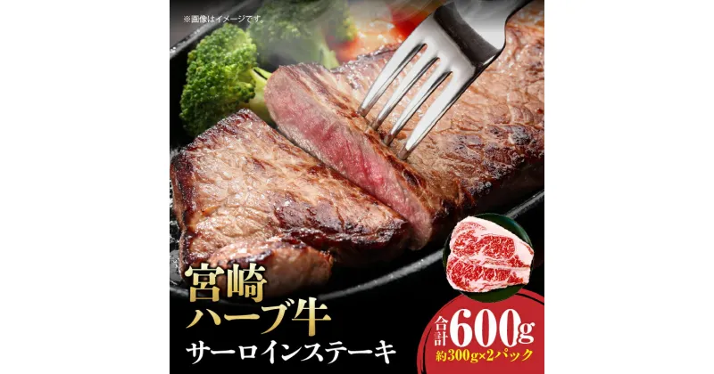 【ふるさと納税】宮崎ハーブ牛 サーロインステーキ 合計600g 牛肉 肉 お肉 ステーキ肉 ハーブ牛 国産牛 ブランド牛 サーロイン ステーキ 小分け パック 真空パック 冷凍 焼肉 キャンプ BBQ アウトドア グランピング グルメ お取り寄せ 贈答 贈り物 宮崎県 宮崎市 送料無料