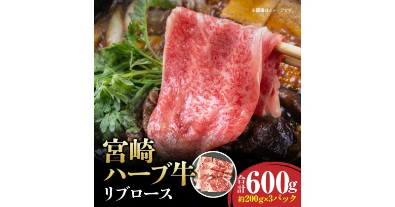 【ふるさと納税】宮崎ハーブ牛 リブロース 2mm スライス 合計600g 牛肉 肉 お肉 精肉 スライス肉 ハーブ牛 国産牛 ブランド牛 リブローススライス 薄切り 小分け パック 真空パック 冷凍 冷凍パック 普段使い 使い勝手 グルメ お取り寄せ 宮崎県 宮崎市 送料無料