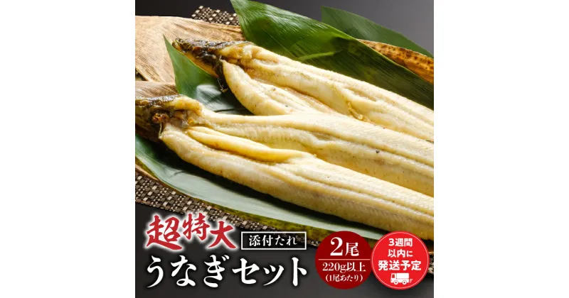 【ふるさと納税】超特大 うなぎ 白焼 2尾 セット うなぎの白焼き 超特大サイズ うなぎ2尾 たれ 蒸し焼き 惣菜 お惣菜 贈答 贈り物 ギフト プレゼント ご褒美 手土産 お祝い 内祝い 土用丑の日 丑の日 冷凍 グルメ お取り寄せ お取り寄せグルメ おすすめ 宮崎市 送料無料