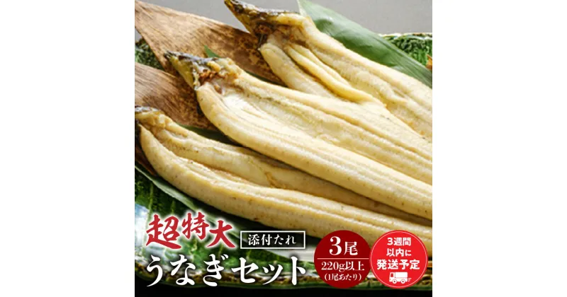 【ふるさと納税】超特大 うなぎ 白焼 3尾 セット うなぎの白焼き 超特大サイズ うなぎ3尾 たれ 蒸し焼き 惣菜 お惣菜 贈答 贈り物 ギフト プレゼント ご褒美 手土産 お祝い 内祝い 土用丑の日 丑の日 冷凍 グルメ お取り寄せ お取り寄せグルメ おすすめ 宮崎市 送料無料