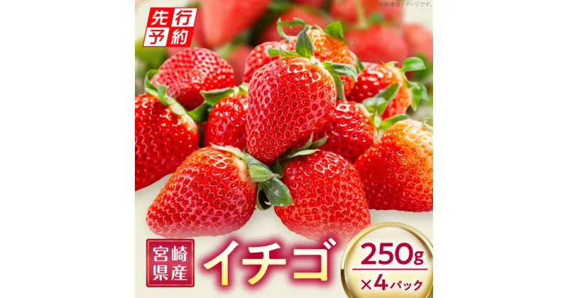 【ふるさと納税】 《2025年発送先行予約》 宮崎県産 イチゴ 250g×4パック 果物 フルーツ 果実 果肉 青果物 農産物 デザート スイーツ ご褒美 おすそ分け おすすめ グルメ お取り寄せ 旬 季節 旬の果物 季節の果物 宮崎県 宮崎市 送料無料