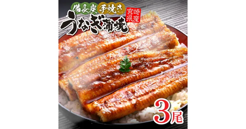 【ふるさと納税】 【宮崎県産】 うなぎ 備長炭 手焼き 蒲焼 3尾 450g うなぎの蒲焼 鰻蒲焼 国産 宮崎県産 たれ 山椒 宮崎うなぎ 惣菜 和風総菜 贈答 贈り物 ギフト プレゼント グルメ イベント 記念日 お取り寄せ 冷凍 真空パック パック 丑の日 宮崎県 宮崎市 送料無料