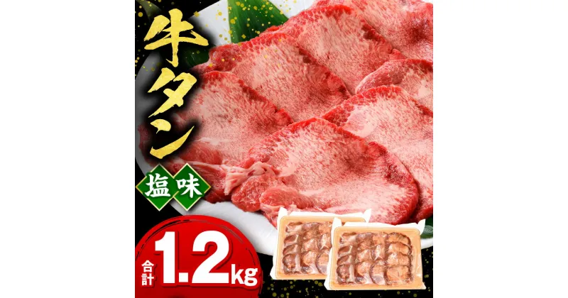 【ふるさと納税】牛タン塩味1.2kg 牛タン 塩だれ 味付き タン 塩 薄切り 薄切り牛タン タン塩 焼くだけ 簡単調理 料理 焼肉 BBQ アウトドア キャンプ グランピング パック 小分け 普段使い 使いやすい 牛肉 肉 お肉 お取り寄せグルメ 宮崎県 宮崎市 送料無料