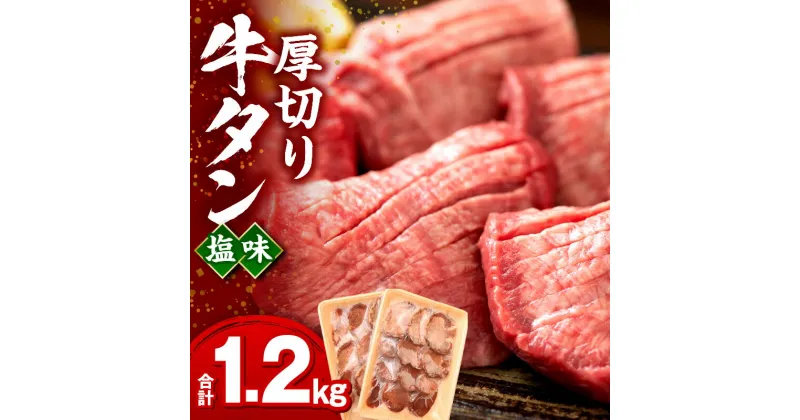 【ふるさと納税】厚切り牛タン塩味1.2kg 牛タン 塩だれ 味付き タン 塩 厚切り 厚切り牛タン タン塩 切り込み 焼くだけ 簡単調理 料理 焼肉 BBQ アウトドア キャンプ グランピング パック 小分け 普段使い 使いやすい 牛肉 肉 お肉 お取り寄せグルメ 宮崎県 宮崎市 送料無料