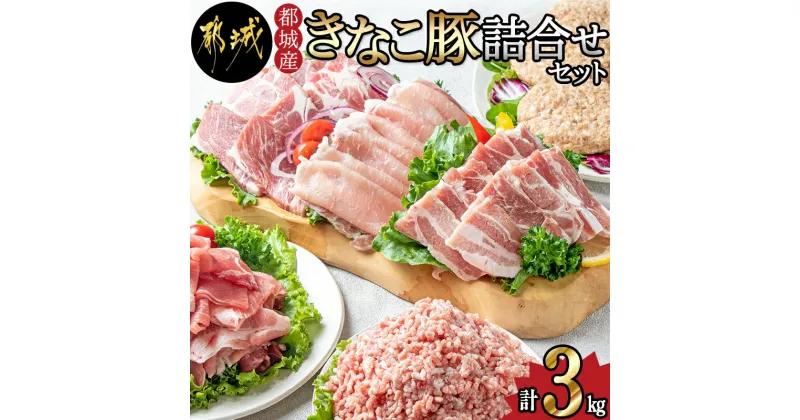 【ふるさと納税】都城産「きなこ豚」詰め合わせセット – ブランド豚 柔らかい豚肉 豚バラ焼肉用/豚ロース生姜焼き/豚肩ロース焼き肉/ウデ・モモ小間切れ/モモミンチ/ハンバーグ 送料無料 MA-1206【宮崎県都城市は2年連続ふるさと納税日本一！】