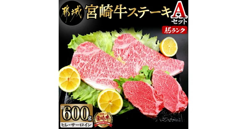 【ふるさと納税】都城産宮崎牛ステーキ Aセット(ヒレ・サーロイン) – 牛肉 牛サーロインステーキ肉(200g×2枚) / 牛ヒレステーキ肉(100g×2) 合計600グラム A5ランク 5等級 ギフト 贈答用 送料無料 MB-0125【宮崎県都城市は2年連続ふるさと納税日本一！】