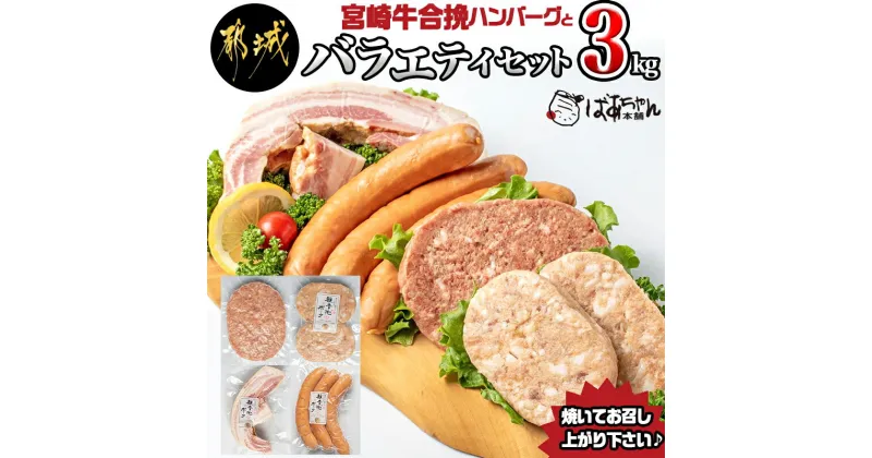 【ふるさと納税】宮崎牛合挽ハンバーグとバラエティ3kgセット – ジューシーな合挽ハンバーグ(160g×10) ブランドポーク 観音池ポークの豚バーグ(100g×8個) トンバーグ ベーコン チーズ入りフランク 送料無料 AD-1501【宮崎県都城市は2年連続ふるさと納税日本一！】