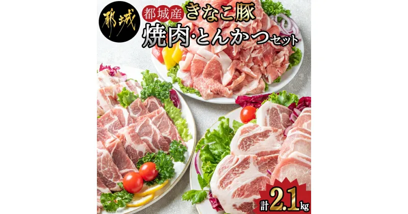 【ふるさと納税】都城産「きなこ豚」焼肉・とんかつセット – ブランド豚の豚肉 豚カツ用カット肉 焼き肉用カット肉 トンカツ用(ロース/肩ロース) 焼き肉用(豚バラ/豚肩ロース) 送料無料 MJ-1204【宮崎県都城市は2年連続ふるさと納税日本一！】