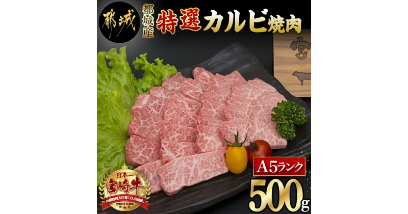 【ふるさと納税】都城産宮崎牛特選カルビ焼肉(A5) – 牛肉 A5等級の宮崎牛 特選カルビ焼肉(500g) A5ランク 最高級の国産黒毛和牛 最上級の霜降り牛肉 焼き肉/バーベキュー/鉄板焼きにどうぞ 送料無料 MA-A003【宮崎県都城市は2年連続ふるさと納税日本一！】