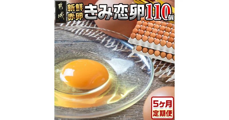 【ふるさと納税】「きみ恋卵」110個定期便(5ヶ月) – 赤卵 きみ恋卵 Mサイズ 110個 約6.5kg 送料無料 T40-2901【宮崎県都城市は2年連続ふるさと納税日本一！】