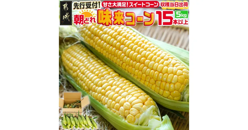 【ふるさと納税】【先行受付！】朝どれ！！都城産スイートコーン(味来コーン)5kg 15本以上 – 朝どれ直送のとうもろこし スイートコーン 5キロ 約15本以上 産地直送 先行受付 送料無料 11-B401-6【宮崎県都城市は2年連続ふるさと納税日本一！】