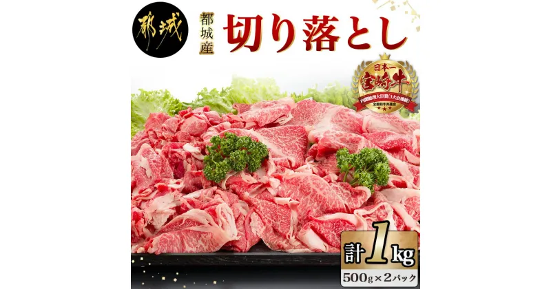 【ふるさと納税】都城産宮崎牛切り落とし1kg – 都城産宮崎牛切落とし肉(500g×2パック) 計1キロ 冷凍保存可 牛モモ肉 牛バラ肉 ミックス 肉じゃが/カレー/炒め物/すき焼きなどに 国産黒毛和牛 送料無料 MJ-6405【宮崎県都城市は2年連続ふるさと納税日本一！】