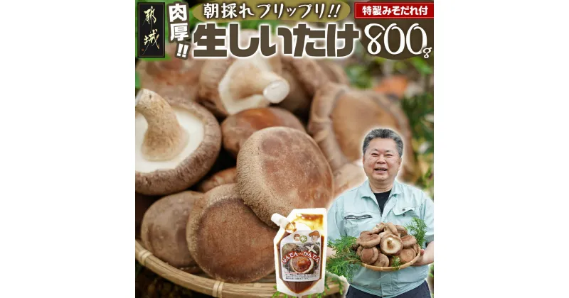 【ふるさと納税】都城産朝採れ肉厚生しいたけ – 特製みそだれ付き 朝採れ生椎茸 どんこ椎茸 贈り物・ギフトにも 国産 宮崎県産 チーズとも相性抜群 山之口町産 冷蔵保存/冷凍保存可 送料無料 AA-8701【宮崎県都城市は2年連続ふるさと納税日本一！】