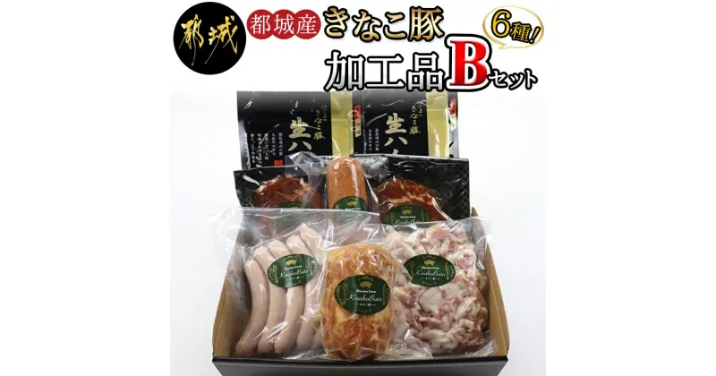 【ふるさと納税】都城産「きなこ豚」加工品セットB – きなこ豚 ブランドポーク プレスハム ソーセージ 生ウインナー 味噌漬け ベーコン 生ハム 加工品 冷凍 送料無料 MJ-1209【宮崎県都城市は2年連続ふるさと納税日本一！】