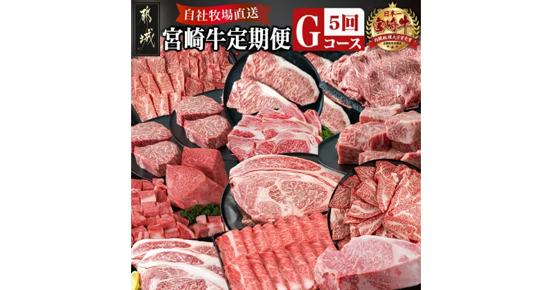 【ふるさと納税】宮崎牛定期便(5回お届け) Gコース – 牛肉 サーロイン 肩ロース ロース バラ イチボ トモサンカク ブロック スライス サイコロ 年末定期便 期間限定 送料無料 TAJ5-2501【宮崎県都城市は2年連続ふるさと納税日本一！】