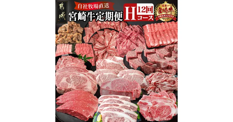【ふるさと納税】宮崎牛定期便(12回お届け) Hコース – 肩ロース ウデモモ バラ モモ ロース サーロイン リブロース スライス 切り落とし ステーキ ブロック 年末定期便 期間限定 送料無料 TAI12-2501【宮崎県都城市は2年連続ふるさと納税日本一！】