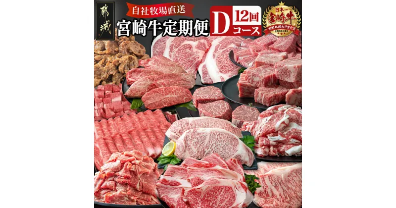 【ふるさと納税】宮崎牛定期便(12回お届け) Dコース – 宮崎牛 リブロース 肩ロース サーロイン 赤身 ロース バラ ミスジ スライス ステーキ 切り落とし サイコロ 味噌漬け 年末定期便 期間限定 送料無料 T100-2501【宮崎県都城市は2年連続ふるさと納税日本一！】