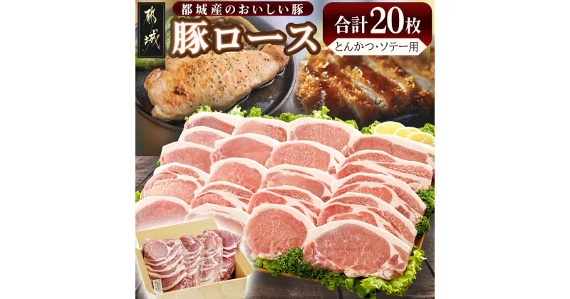 【ふるさと納税】豚ロースとんかつ・ソテー用20枚 – 豚肉 豚ロース とんかつ・ソテーに 100g×5枚入り×4パック 計20枚 豚 真空パック 冷凍保存 送料無料 AA-2506【宮崎県都城市は2年連続ふるさと納税日本一！】