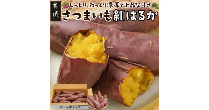 【ふるさと納税】都城産「紅はるか」5kg – 都城産 サツマイモ さつまいも 芋 5kg サイズ未選別 送料無料 LE-7101【宮崎県都城市は2年連続ふるさと納税日本一！】