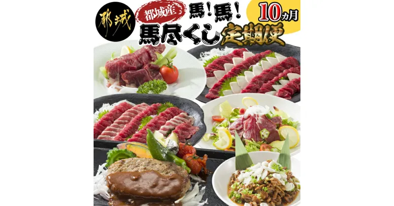 【ふるさと納税】都城産馬！馬！馬尽くし定期便(10ヵ月) – 定期便 馬刺し 馬ハンバーグ 馬生ハム 馬すじ煮込み 10ヵ月定期便 送料無料 T80-0101【宮崎県都城市は2年連続ふるさと納税日本一！】