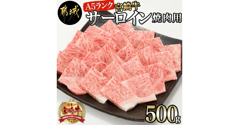 【ふるさと納税】【A5】宮崎牛サーロイン焼肉用500g – 宮崎牛 ブランド牛 最高級A5ランク 宮崎牛サーロイン焼肉用 最高等級5等級 国産牛肉 国産黒毛和牛 バーベキュー/焼き肉 送料無料 AE-0106 【宮崎県都城市は2年連続ふるさと納税日本一！】