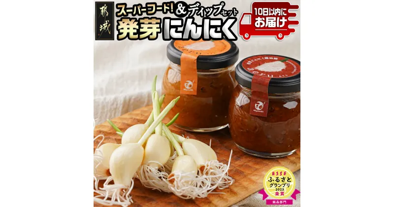 【ふるさと納税】スーパーフード！つまみにんにく＆ディップセット ≪みやこんじょ特急便≫ – 発芽にんにく味噌/発芽にんにく醤油糀 国産にんにく レシピ入り にんにく特有のにおい残りが少ない 送料無料 AA-C902 【宮崎県都城市は2年連続ふるさと納税日本一！】