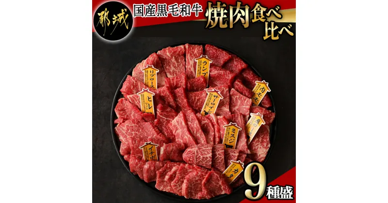 【ふるさと納税】【国産黒毛和牛】焼肉食べ比べ 9種盛 各種80g – 国産黒毛和牛 焼肉用 ヒレ/リブロース/サーロイン/肩ロース/ウチモモ/イチボ/ランプ/カタ/ミスジ 各80g 送料無料 AE-E902【宮崎県都城市は2年連続ふるさと納税日本一！】