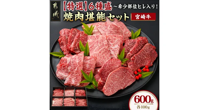 【ふるさと納税】≪希少部位ヒレ入り！≫ 宮崎牛【特選】6種盛 焼肉堪能セット 600g – 宮崎県産宮崎牛 焼肉6種盛 各100g ロース 肩ロース ヒレ ウデ バラ モモ 国産牛 ギフト 贈答用 送料無料 22-6502【宮崎県都城市は2年連続ふるさと納税日本一！】