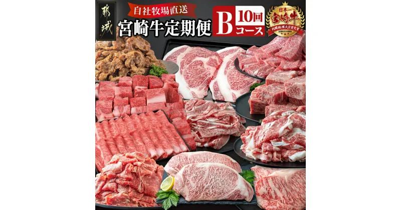 【ふるさと納税】宮崎牛定期便(10回お届け) Bコース – 宮崎牛 肩ロース サーロイン 赤身 ロース バラ リブロース スライス ステーキ サイコロ 切り落とし 味噌漬け 年末定期便 期間限定 送料無料 T80-2502【宮崎県都城市は2年連続ふるさと納税日本一！】