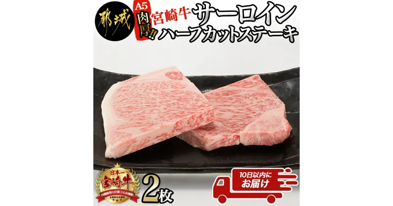 【ふるさと納税】【A5】肉厚！宮崎牛サーロインハーフカットステーキ2枚≪みやこんじょ特急便≫ – A5ランク 都城産宮崎牛 真空 サーロイン ハーフカットステーキ 200g×2枚 ステーキソース 塩コショウ 送料無料 AD-0112-Q 【宮崎県都城市は2年連続ふるさと納税日本一！】