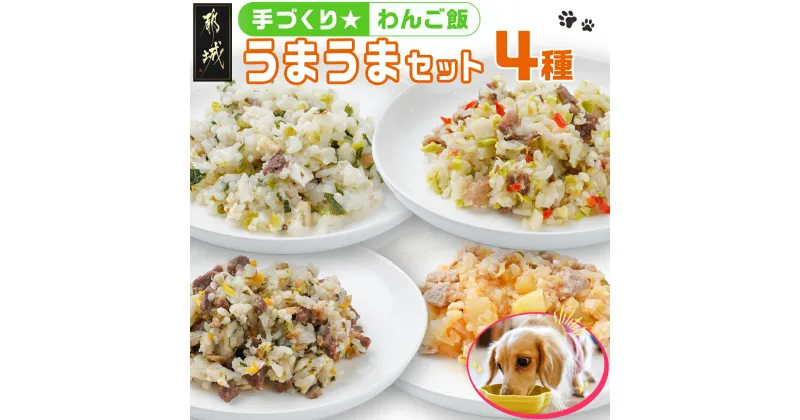 【ふるさと納税】手づくり☆わんご飯『うまうまセット』 – 犬用 手づくりご飯 ぶり大根 馬肉ッパ 牛しぐれ 豚肉ポトフ ドッグフード ペットフード 送料無料 12-J501【宮崎県都城市は2年連続ふるさと納税日本一！】