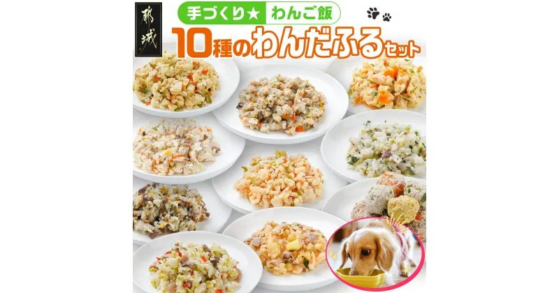 【ふるさと納税】手づくり☆わんご飯『10種のわんだふるセット』 – 犬用 手づくりご飯 鶏ごぼうご飯 サーモンリゾット すき焼き風ご飯 とまとスープご飯 ぶり大根 馬肉ッパ 牛しぐれ等 ペットフード 送料無料 AC-J501【宮崎県都城市は2年連続ふるさと納税日本一！】