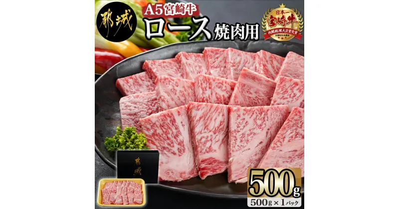 【ふるさと納税】宮崎牛(A5)ロース焼肉用500g – 宮崎牛ロース 焼肉用 500g 焼肉用カット ロース 牛肉 焼肉 送料無料 AD-0114【宮崎県都城市は2年連続ふるさと納税日本一！】