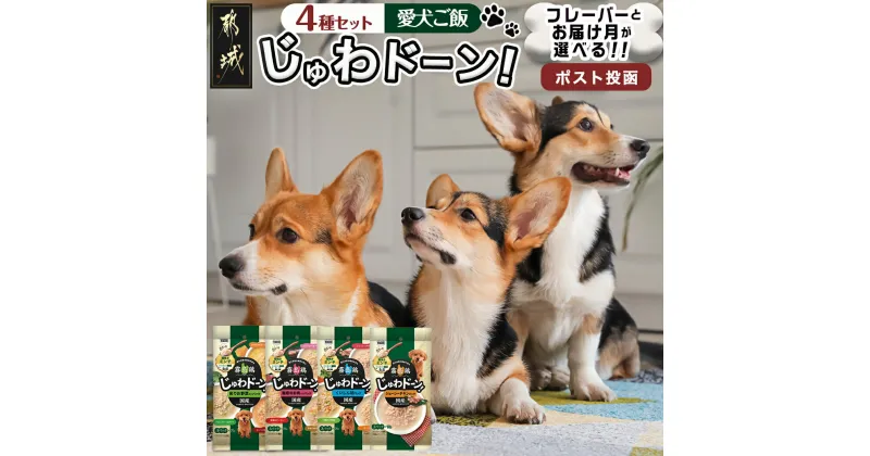 【ふるさと納税】【フレーバー＆お届け月が選べる】≪愛犬ご飯≫霧島鶏じゅわドーン！ – 犬用フード ウェットフード 粗挽きミンチ4種/ゴロゴロカット4種/コロコロカット4種 ポスト投函 発送時期が選べる 送料無料 SKU-3307【宮崎県都城市は2年連続ふるさと納税日本一！】