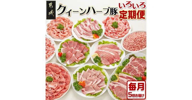 【ふるさと納税】「クイーンハーブ豚」のいろいろ定期便(5ヶ月) – 豚肉 定期便 5ヶ月お届け しゃぶしゃぶ用 焼肉用 ウデ モモ ロース 肩ロース バラ 送料無料 TAA5-2901【宮崎県都城市は2年連続ふるさと納税日本一！】▽