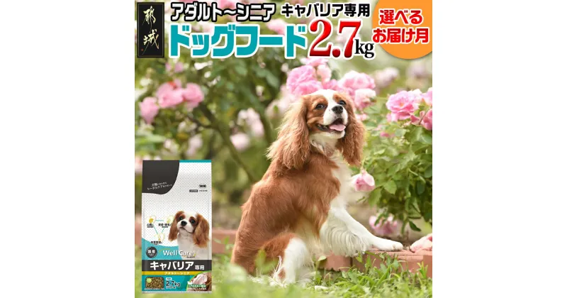 【ふるさと納税】【お届け月が選べる】ドッグフード(キャバリア専用)アダルト〜シニア2.7kg – ウェルケア 発送時期が選べる 国産 ペットフード 犬用 成犬期 合成保存料・着色料 不使用 リアルチキン製法 送料無料 LF-3316 【宮崎県都城市は2年連続ふるさと納税日本一！】