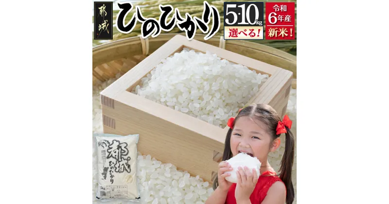 【ふるさと納税】【内容量が選べる！】都城産ひのひかり≪令和6年産新米≫ – 令和6年産 新米 都城産 お米 選べる内容量 5kg/10kg ひのひかり 送料無料 SKU-1599【宮崎県都城市は2年連続ふるさと納税日本一！】