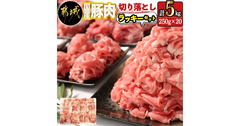 【ふるさと納税】国産豚肉切り落とし5kgラッキーセット – 国産豚 切り落とし 250g×20袋 5kg 豚肉 小分けパック 大容量 使い勝手抜群 送料無料 17-3605【宮崎県都城市は2年連続ふるさと納税日本一！】