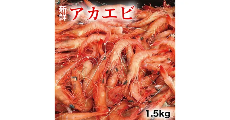 【ふるさと納税】アカエビ　1.5kg　宮崎県延岡市　冷凍　送料無料