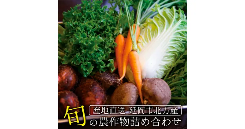 【ふるさと納税】北方産 旬の農作物詰め合わせセット 野菜 果物 お茶 宮崎県 延岡市