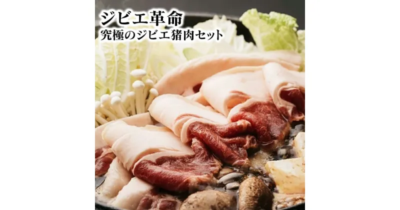 【ふるさと納税】ジビエ革命〜究極のジビエ　猪肉セット　計600g【マツダジビエ】